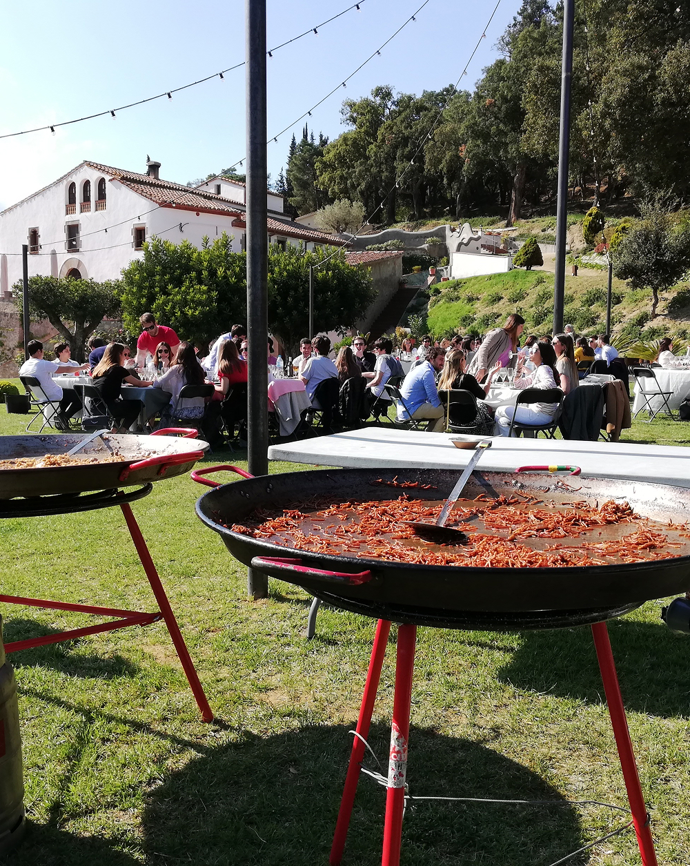 _imagen-3